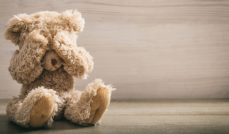 stylish teddy bear