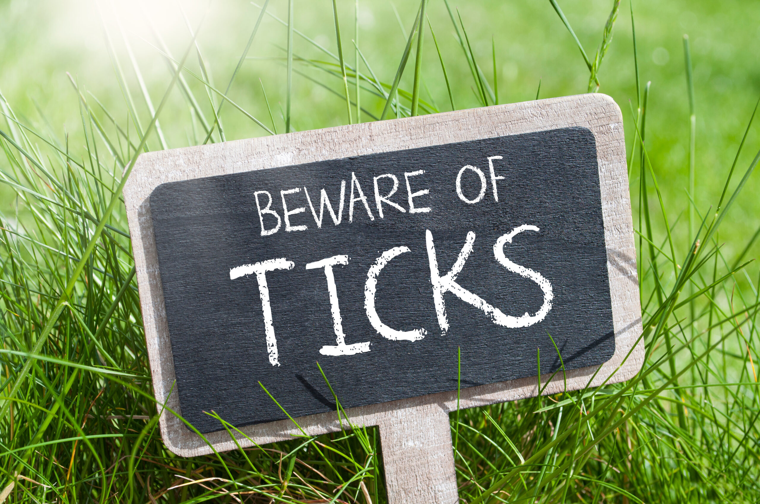 Chalkboard in green grass with beware of ticks